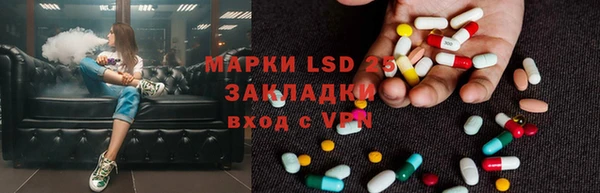 бошки Бердск