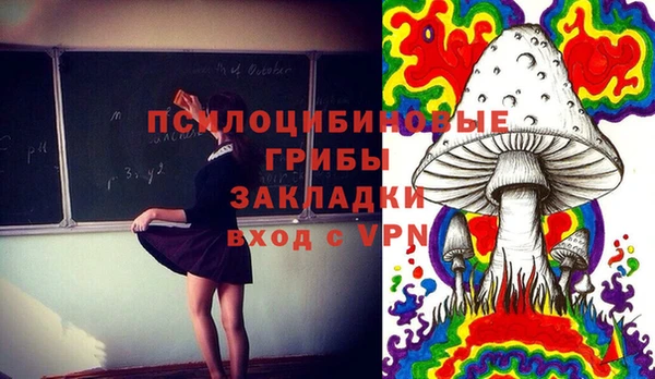 ALPHA PVP Ачинск