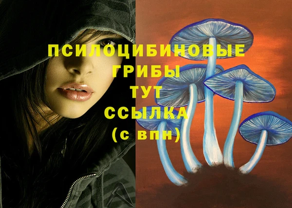 не бодяженный Ишимбай