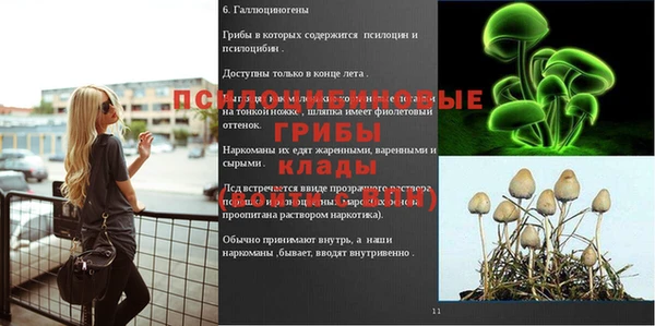 бошки Бердск