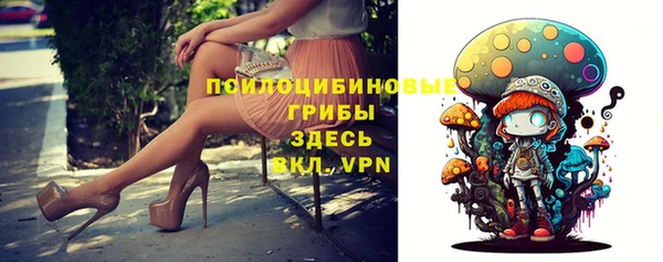 mdpv Алапаевск
