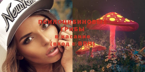 дурь Кадников