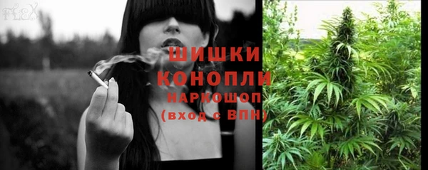 бошки Бердск