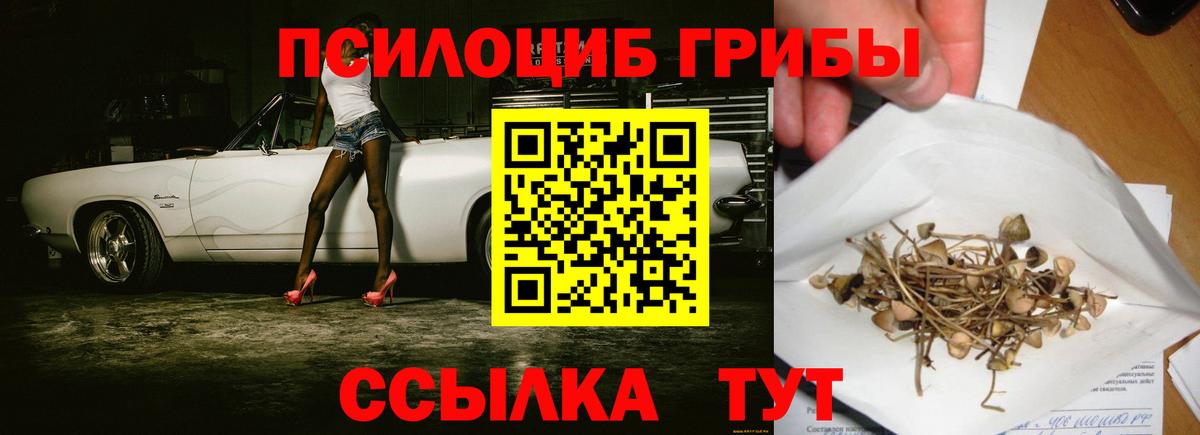 цена наркотик  Зеленогорск  Псилоцибиновые грибы MAGIC MUSHROOMS 